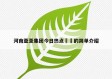 河南亚圣集团今日热点㊙️的简单介绍