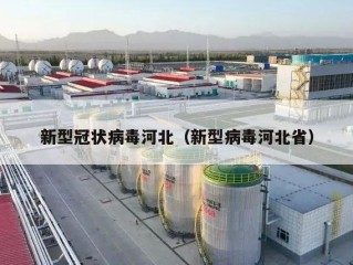 新型冠状病毒河北（新型病毒河北省）