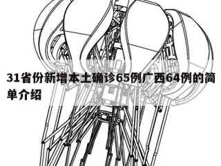 31省份新增本土确诊65例广西64例的简单介绍