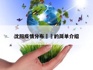 沈阳疫情分布㊙️的简单介绍