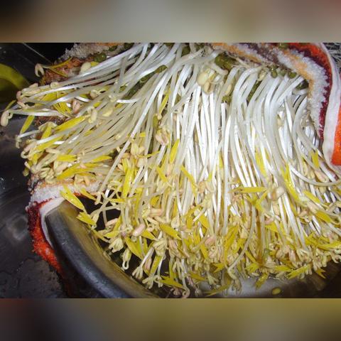 男子用理发店剪子开瓶口被制止,安全与卫生的双重考量 男子用理发店剪子开瓶口被制止,安全与卫生的双重考量