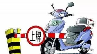 电动车假号牌,低成本陷阱下的灰色地带 电动车假号牌,低成本陷阱下的灰色地带