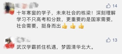 双一流高校扩招，新时代的智慧之举与未来之基